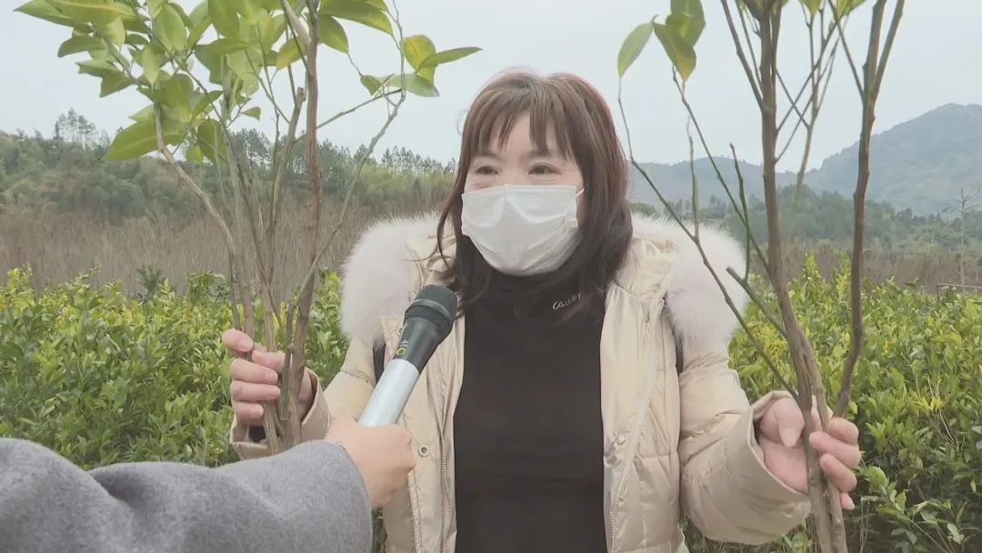 春耕备耕正当时！福州不负好春光