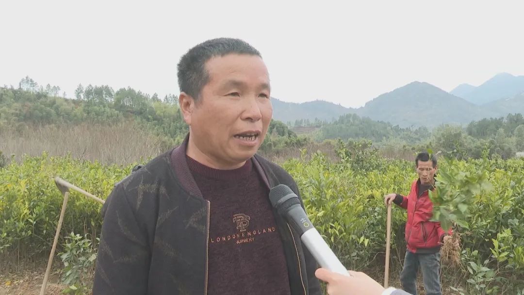 春耕备耕正当时！福州不负好春光