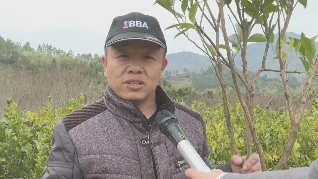 春耕备耕正当时！福州不负好春光