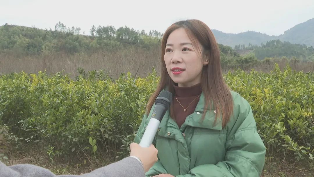 春耕备耕正当时！福州不负好春光