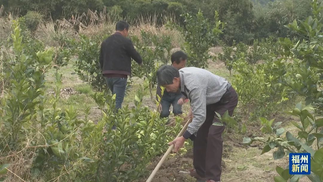 春耕备耕正当时！福州不负好春光