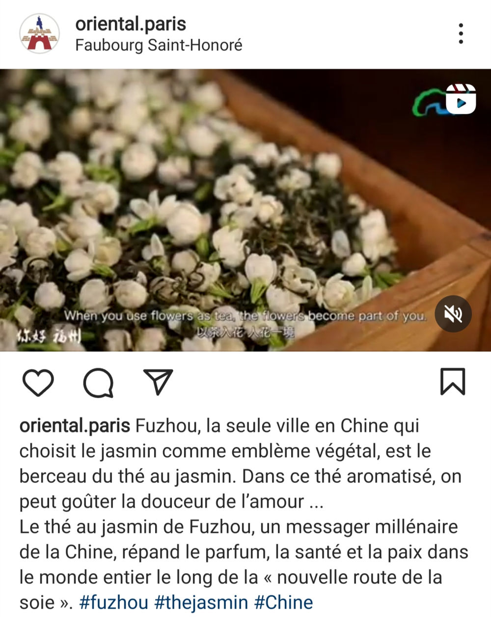 福州茉莉花茶“茗”声远扬 世界共品中国“春之味”