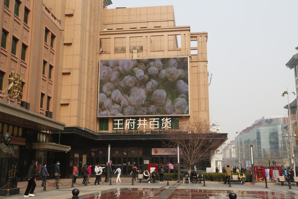 福州茉莉花茶“茗”声远扬 世界共品中国“春之味”