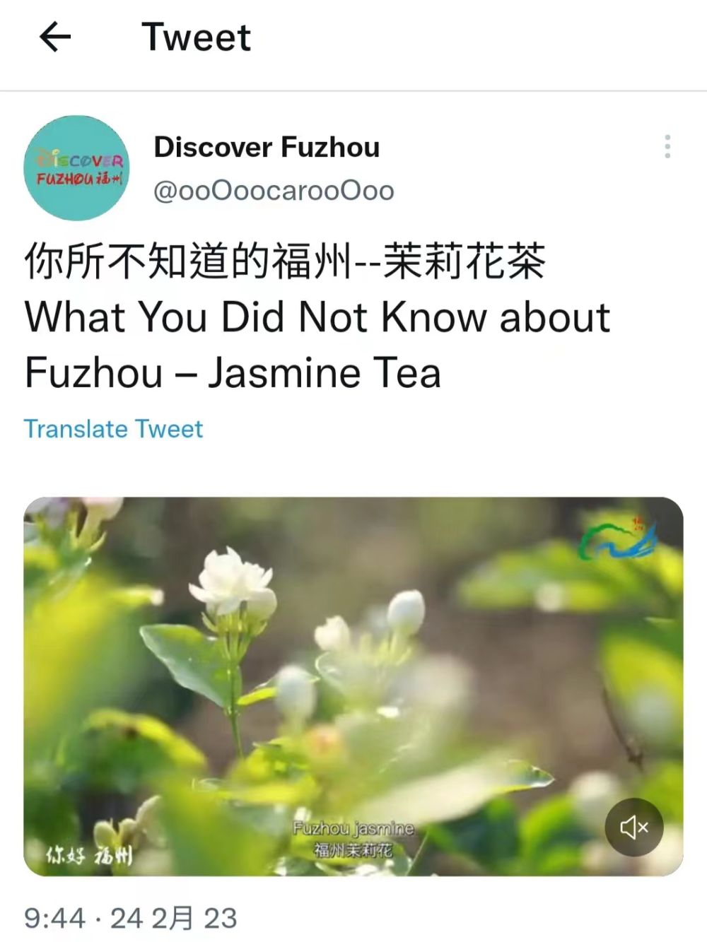 福州茉莉花茶“茗”声远扬 世界共品中国“春之味”